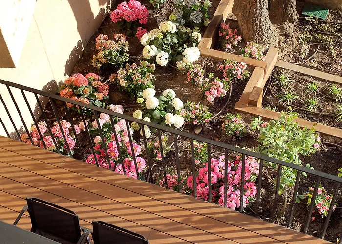 エグゼ カサ デ ロス リナヘス 3* セゴビア